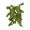 cave_vines_plant