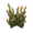 firefly_bush firefly_bush