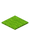 lime_carpet