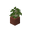 potted_birch_sapling