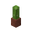 potted_cactus