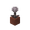 potted_closed_eyeblossom