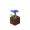 potted_cornflower potted_cornflower