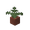 potted_fern
