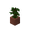 potted_jungle_sapling