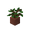 potted_oak_sapling