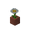 potted_oxeye_daisy