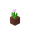 Tulipe rose en pot potted_pink_tulip