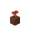 potted_poppy