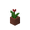 potted_red_tulip