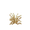 short_dry_grass