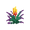 torchflower