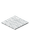 white_carpet
