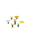 wildflowers